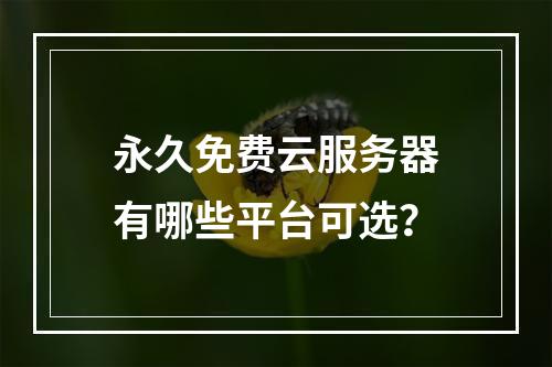 永久免费云服务器有哪些平台可选？