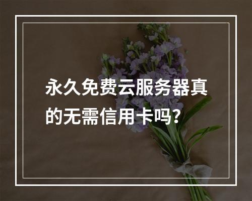 永久免费云服务器真的无需信用卡吗？