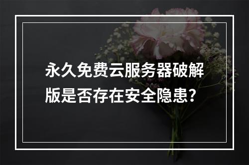 永久免费云服务器破解版是否存在安全隐患？