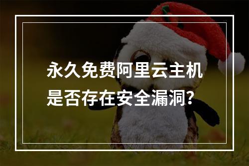永久免费阿里云主机是否存在安全漏洞？
