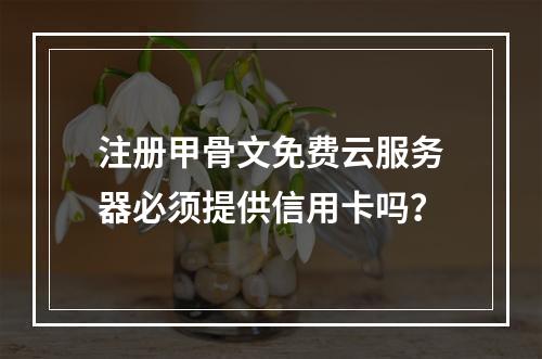 注册甲骨文免费云服务器必须提供信用卡吗？
