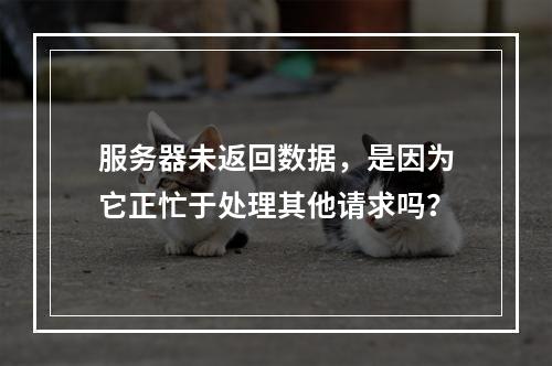 服务器未返回数据,是因为它正忙于处理其他请求吗?