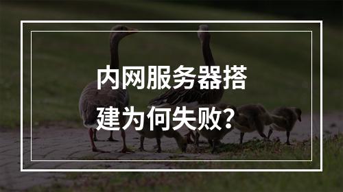 内网服务器搭建为何失败?