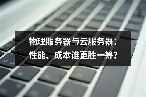 物理服务器与云服务器：性能、成本谁更胜一筹？