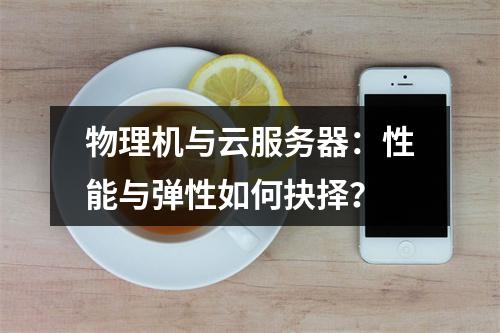 物理机与云服务器：性能与弹性如何抉择？