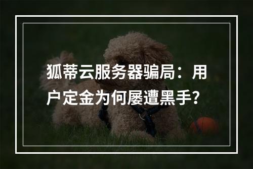 狐蒂云服务器骗局：用户定金为何屡遭黑手？