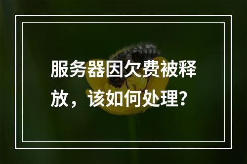 服务器因欠费被释放,该如何处理?