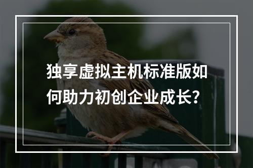 独享虚拟主机标准版如何助力初创企业成长？