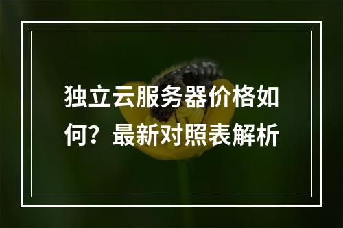 独立云服务器价格如何？最新对照表解析