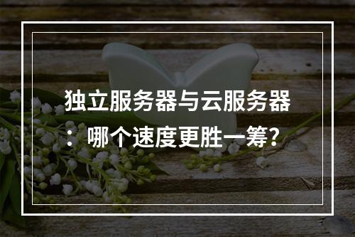 独立服务器与云服务器：哪个速度更胜一筹？