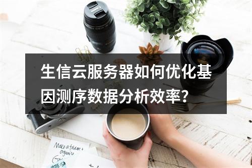 生信云服务器如何优化基因测序数据分析效率？