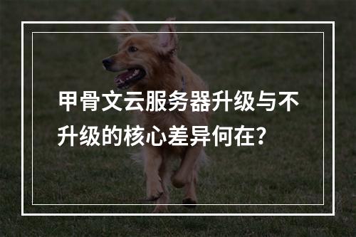 甲骨文云服务器升级与不升级的核心差异何在？