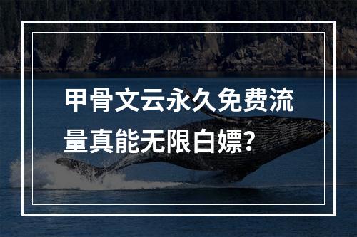 甲骨文云永久免费流量真能无限白嫖？