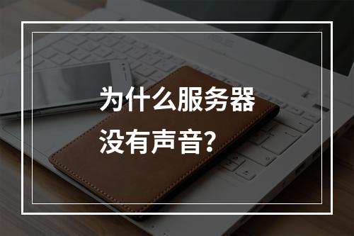 为什么服务器没有声音?