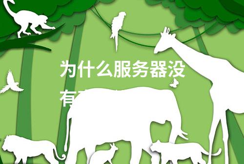 为什么服务器没有声音设备?