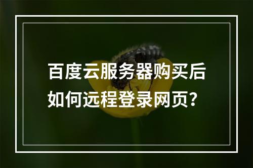 百度云服务器购买后如何远程登录网页？