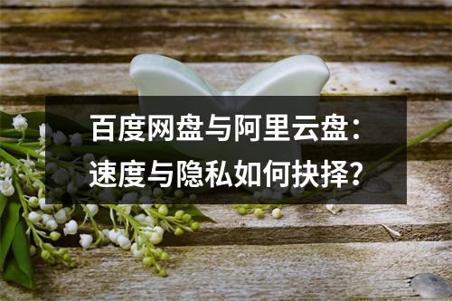 百度网盘与阿里云盘：速度与隐私如何抉择？