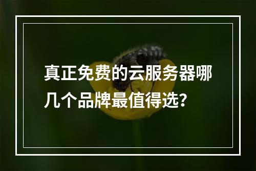 真正免费的云服务器哪几个品牌最值得选？