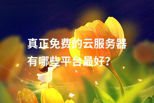 真正免费的云服务器有哪些平台最好？