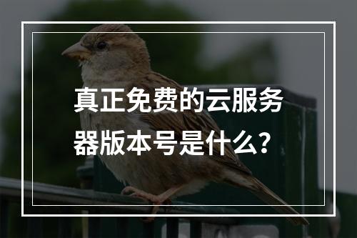 真正免费的云服务器版本号是什么？