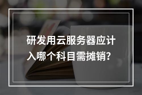研发用云服务器应计入哪个科目需摊销？