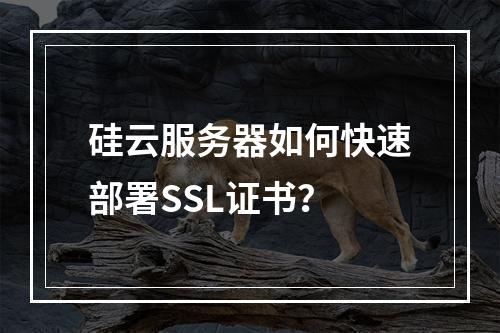 硅云服务器如何快速部署SSL证书？