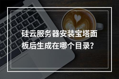 硅云服务器安装宝塔面板后生成在哪个目录？