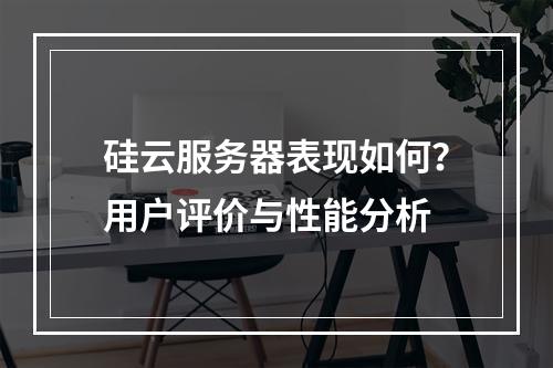 硅云服务器表现如何？用户评价与性能分析