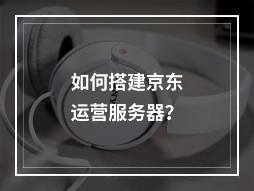 如何搭建京东运营服务器?