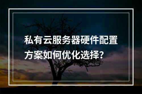 私有云服务器硬件配置方案如何优化选择？