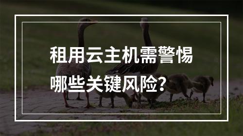 租用云主机需警惕哪些关键风险？