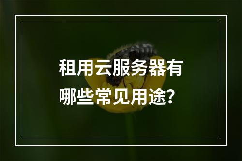 租用云服务器有哪些常见用途？