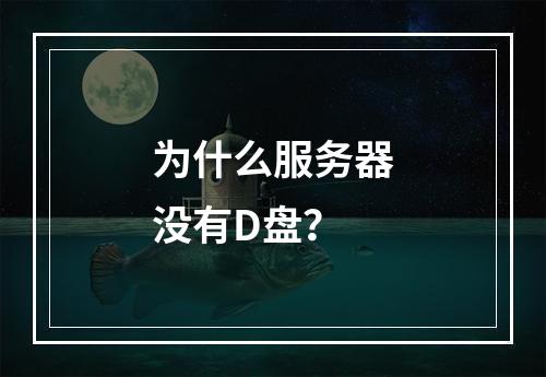 为什么服务器没有D盘?