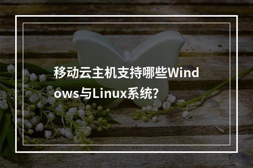移动云主机支持哪些Windows与Linux系统？