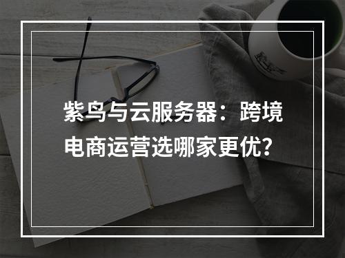 紫鸟与云服务器：跨境电商运营选哪家更优？