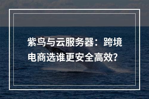 紫鸟与云服务器：跨境电商选谁更安全高效？
