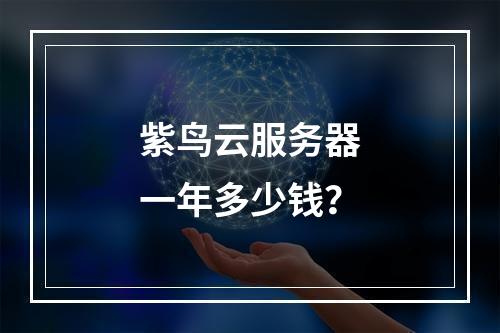 紫鸟云服务器一年多少钱？