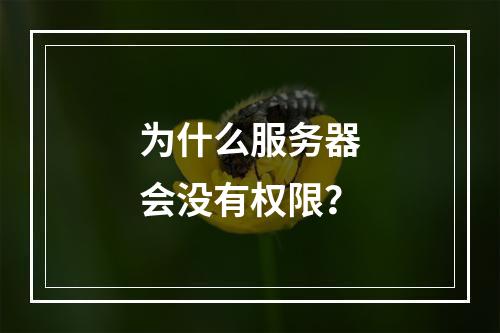 为什么服务器会没有权限?
