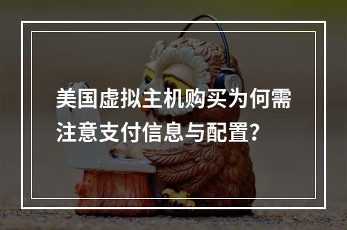 美国虚拟主机购买为何需注意支付信息与配置？