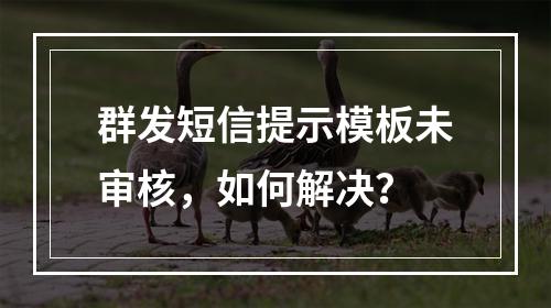 群发短信提示模板未审核，如何解决？
