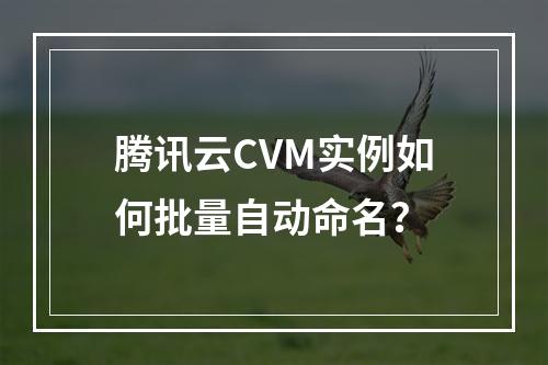 腾讯云CVM实例如何批量自动命名？