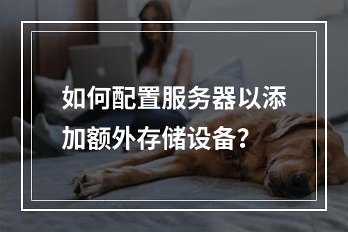 如何配置服务器以添加额外存储设备?