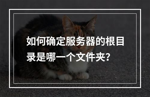 如何确定服务器的根目录是哪一个文件夹?