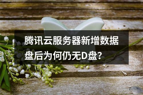 腾讯云服务器新增数据盘后为何仍无D盘？