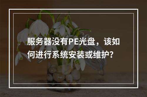 服务器没有PE光盘,该如何进行系统安装或维护?