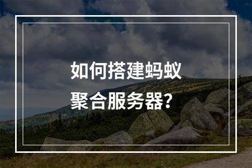 如何搭建蚂蚁聚合服务器?