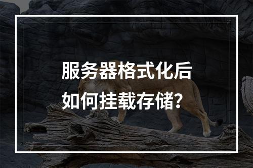 服务器格式化后如何挂载存储?