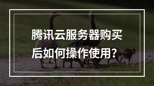 腾讯云服务器购买后如何操作使用？