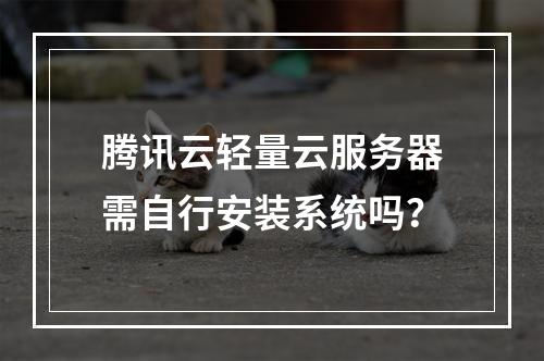 腾讯云轻量云服务器需自行安装系统吗？