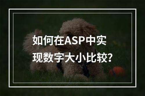 如何在ASP中实现数字大小比较?